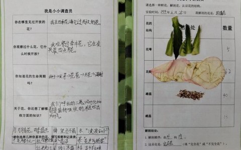 植物「唱歌」实验(给植物唱歌真的能让植物快快长大吗)