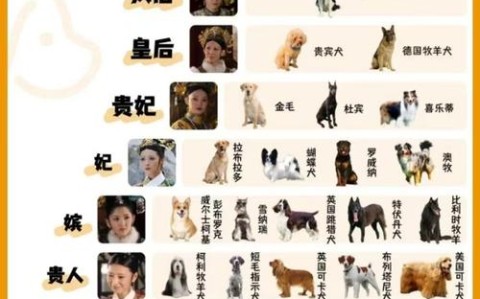 动物智商(哺乳动物智商)