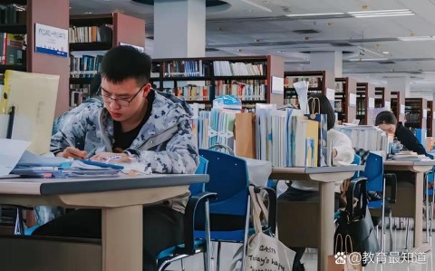 考研猫坐镇图书馆(考研学生在图书馆的日常)