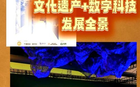 文化遗产数字化（文化遗产数字化保护与开发利用高级研修班）