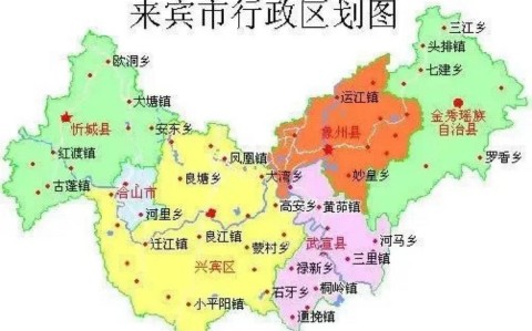 来宾市地图（来宾市地图全图）