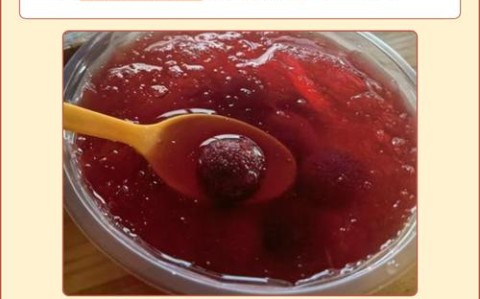 杨梅汤的做法（杨梅汤的做法与配方）