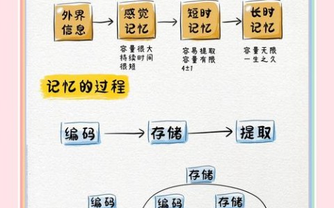 记忆机制(记忆机制讲解)