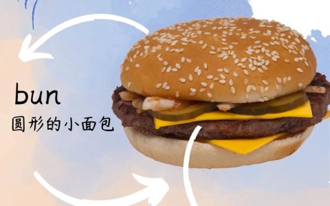 汉堡包英语怎么写（汉堡包英语咋说）