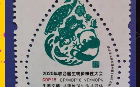 生物多样性(生物多样性公约)