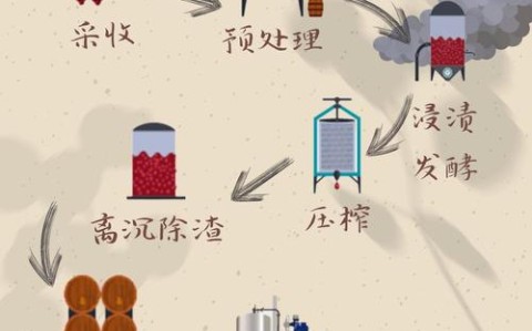 发酵原理(葡萄酒发酵原理)