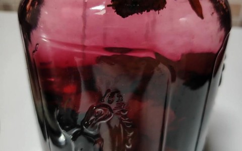 桑葚酒的做法（一斤桑葚泡几斤白酒）