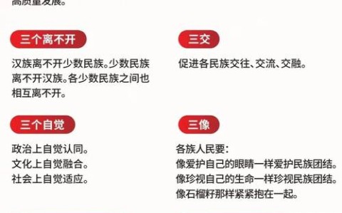 民族团结进步促进法审议（促进民族团结的法律法规）