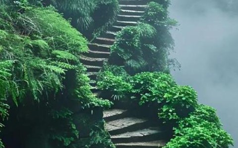 手机扔远比赛(世界扔手机大赛)