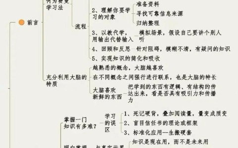 费曼技巧的底层逻辑为什么解释如此有效（费曼技巧的概念）