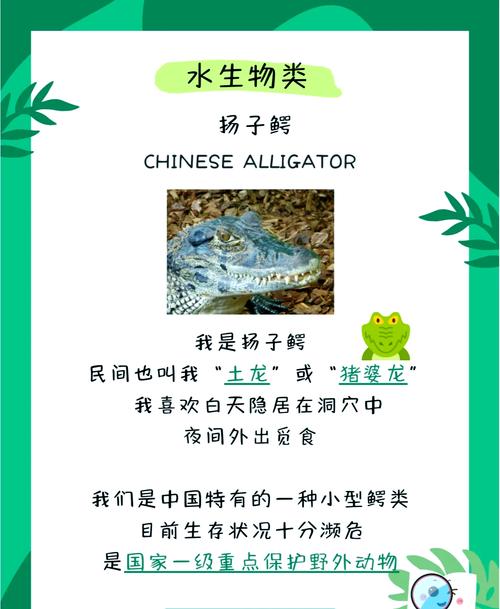 珍稀物种发现（珍稀物种发现过程）