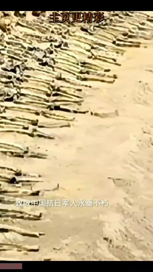 抗战历史照片捐赠（抗战珍贵照片）