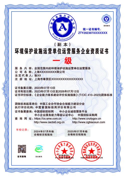 环境污染治理（环境污染治理设施运营资质）
