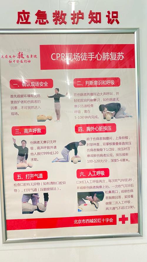 急救知识宣传(急救知识宣传简报)