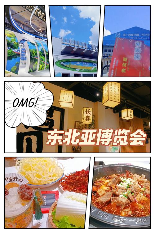 东北亚博览会创新高(东北亚博览会是干啥的)