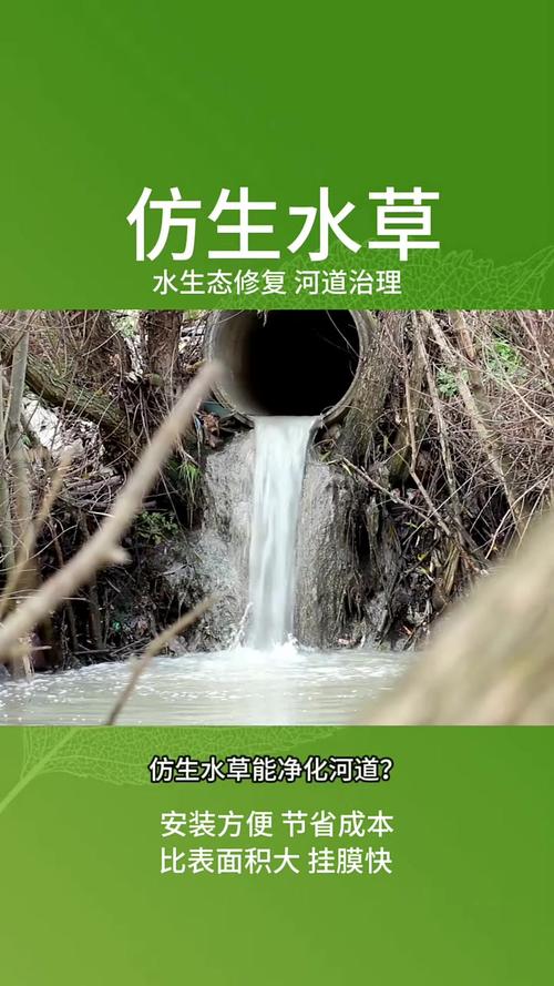 水污染治理(金湖同方水污染治理)