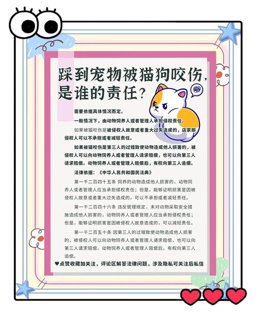 宠物伤人事件(宠物伤人发生的事件)