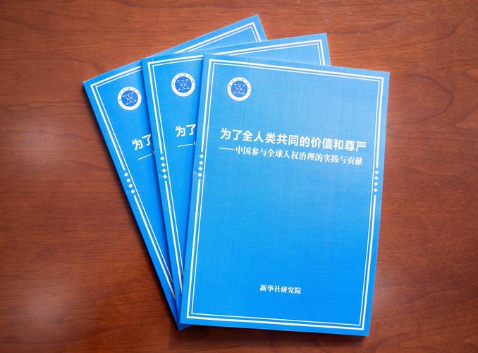 全球人权治理参与的简单介绍