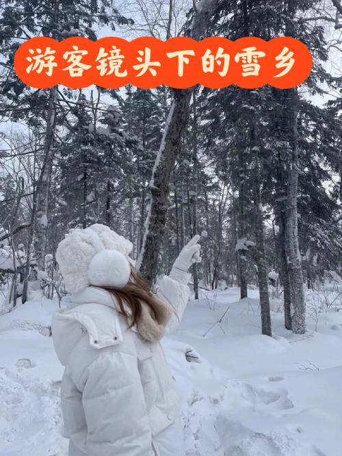 雪乡旅游乱象（雪乡游客）