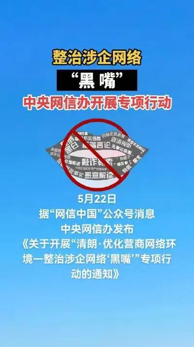 涉企网络黑嘴整治（涉企网络黑嘴整治措施）