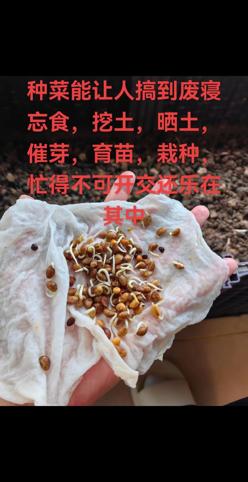 手机测土质种菜(手机可以测土地亩数吗)