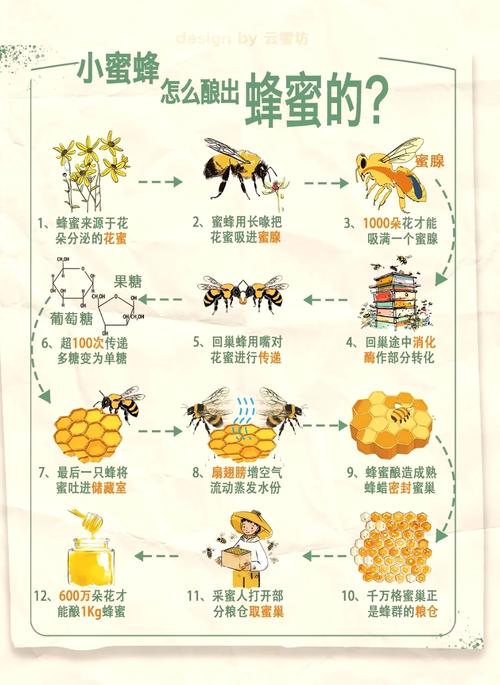 蜜蜂学会开瓶盖（蜜蜂打开饮料瓶）