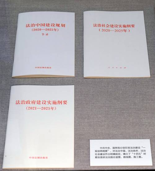 法治中国建设规划起草（法治中国建设规划实施纲要）