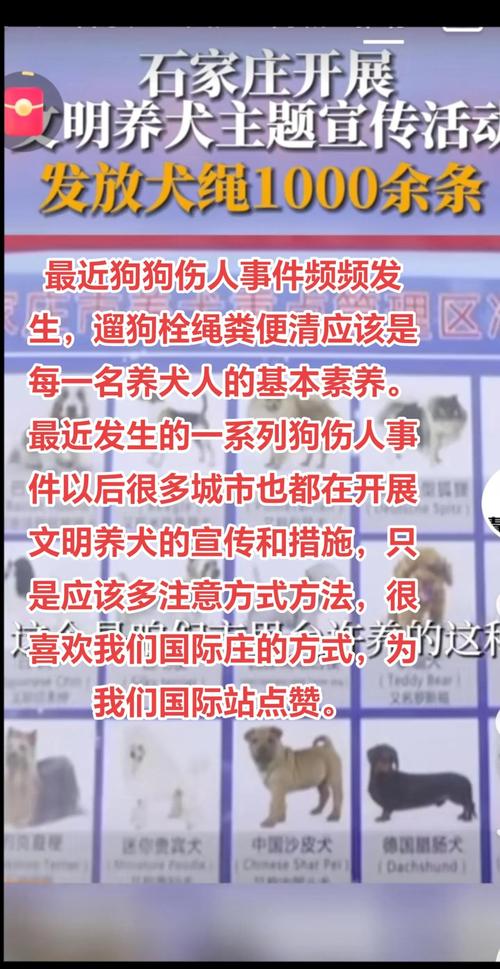 宠物伤人事件(宠物伤人案件)
