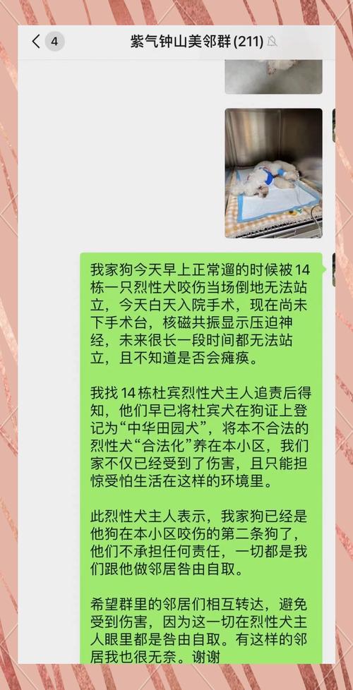 宠物伤人事件(宠物伤人案件)