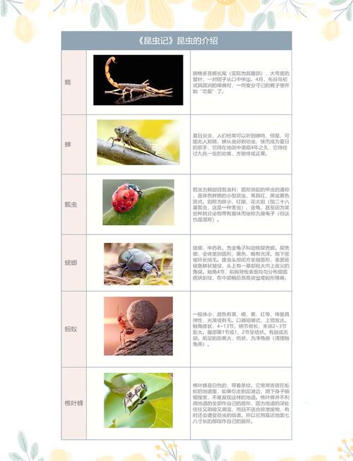 昆虫社会(昆虫社会与人类社会的关系)