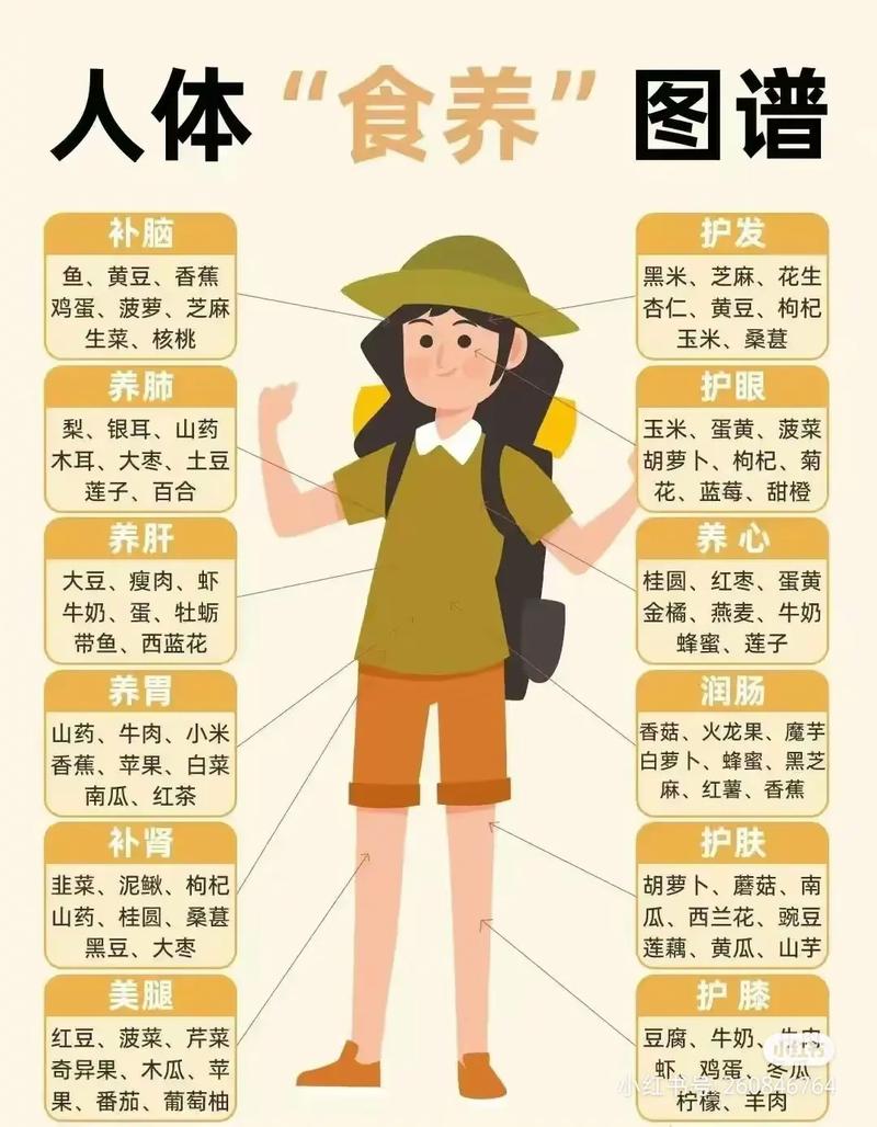 饮食营养(饮食营养与健康)
