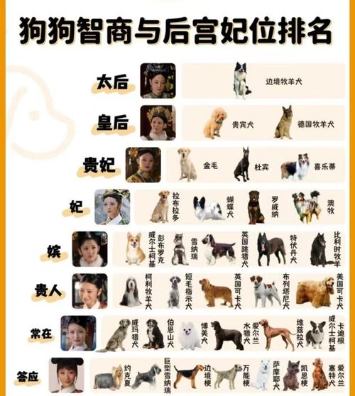 动物智商(哺乳动物智商)