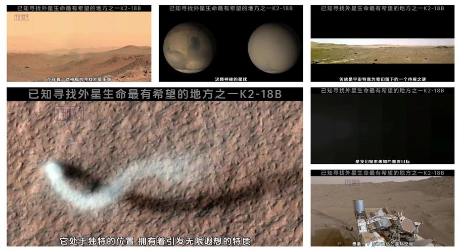 外星生命探索(外星生命探索的股票有哪些)