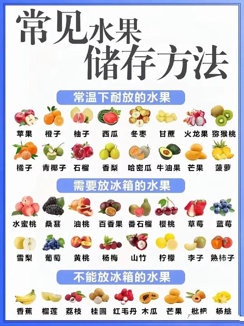 食物保存(食物保存的方法有哪些)