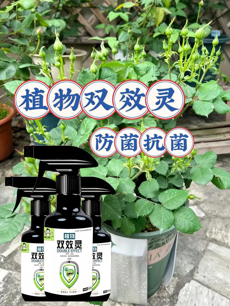 植物防御机制(植物防御的两种生物是)