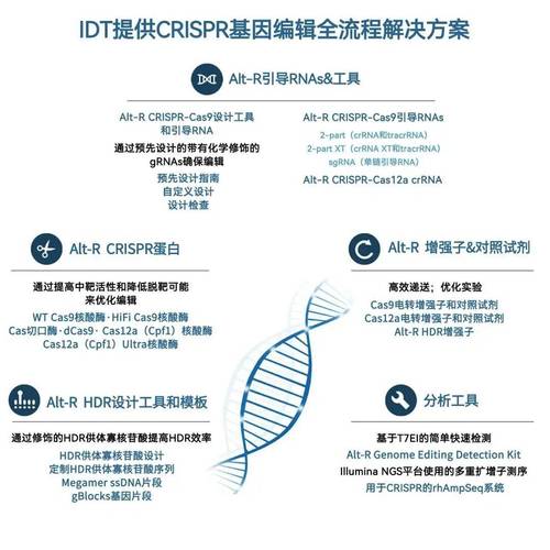 基因编辑(基因编辑治疗黄黑皮)