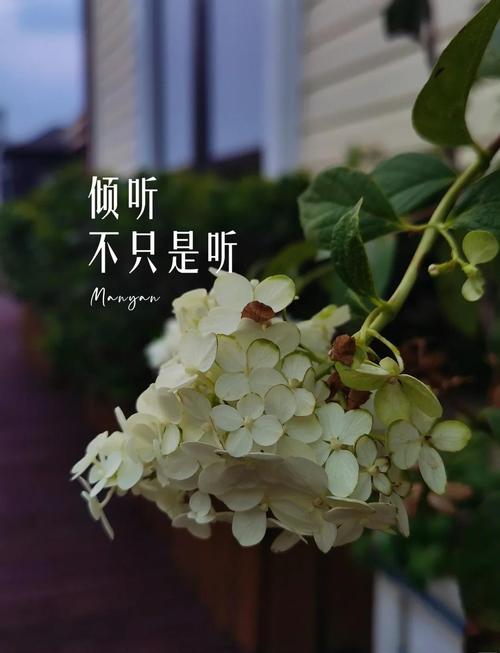 倾听的密码如何听到对方没说出来的话（怎么倾听）