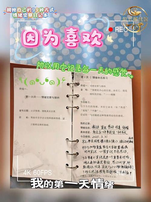 情绪日记2.0版从记录到分析的升级(情绪日记记录表怎么写)