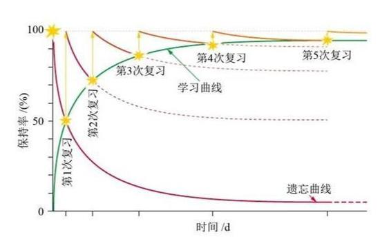 遗忘曲线的实战应用如何安排复习频率最高效(遗忘曲线如何使用)