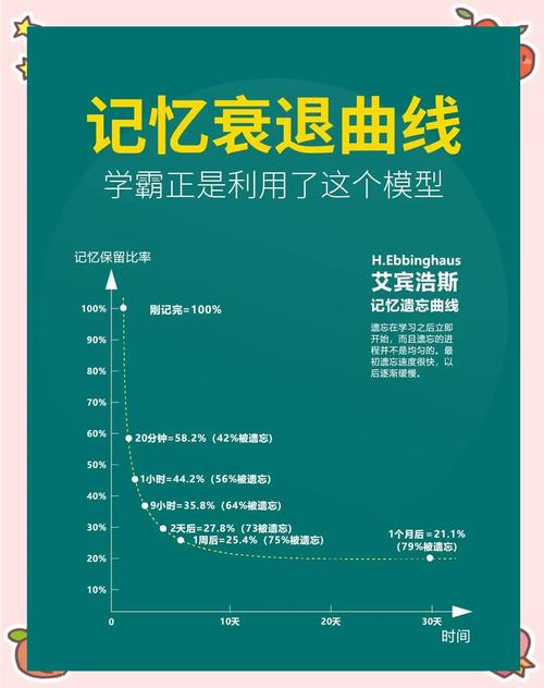 遗忘曲线的实战应用如何安排复习频率最高效(遗忘曲线如何使用)