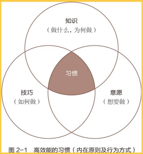 如何设计不依赖意志力的习惯流程(怎样才能做到不依赖一个人)