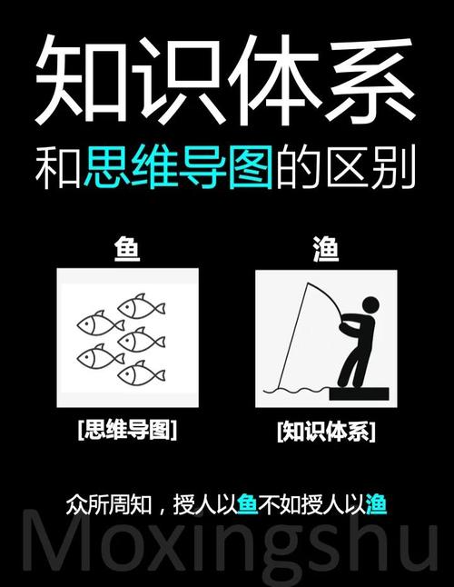 系统性思维入门如何看清事物之间的连接(事物之间是如何联系的)