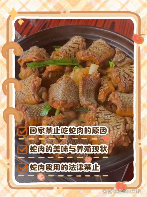 蛇肉的做法（蛇肉的做法大全）