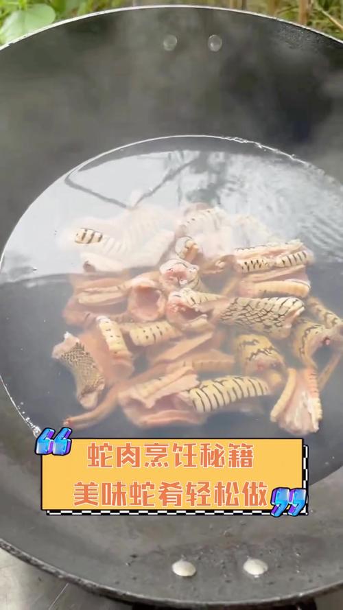蛇肉的做法（蛇肉的做法大全）