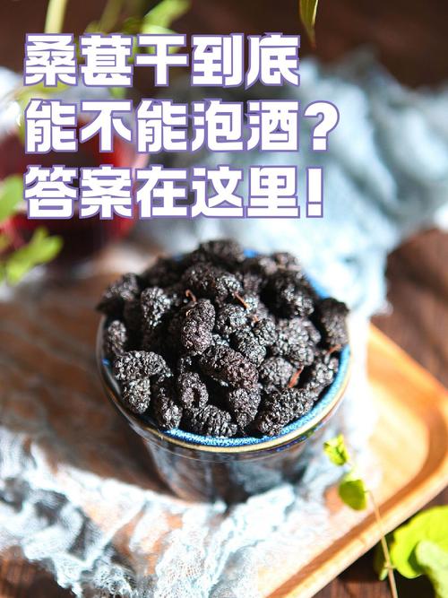 桑葚酒的做法（一斤桑葚泡几斤白酒）