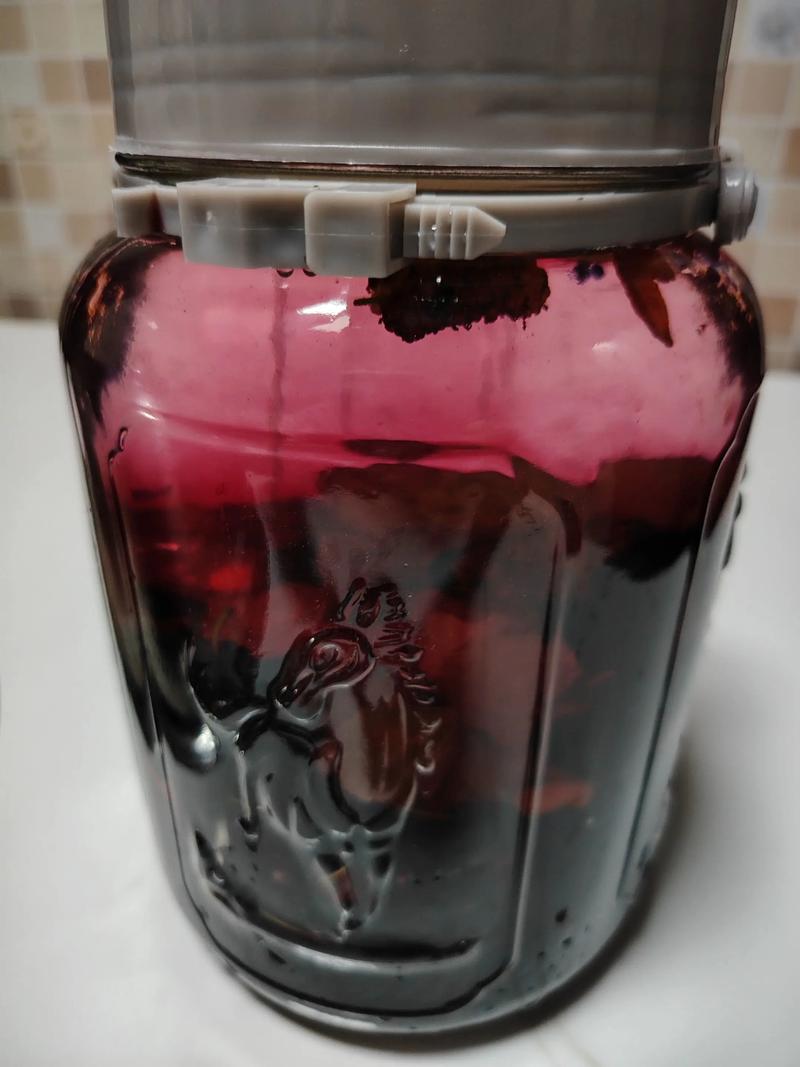 桑葚酒的做法（一斤桑葚泡几斤白酒）