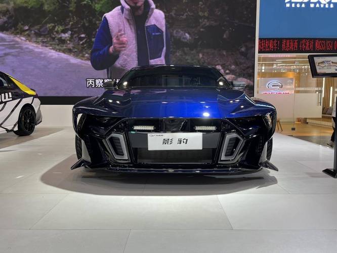 海西汽车展(海西国际车展)