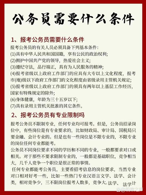 报考公务员需要什么条件和学历(报考公务员需要什么条件和学历2025年)