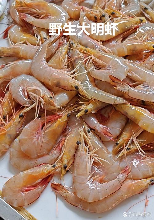 明虾的做法（清蒸大明虾的做法）