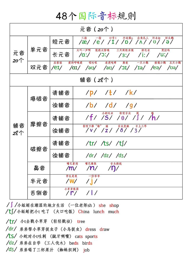视频学英语（视频学英语音标）